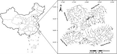 Role of Impoundments Created by Low-Head Dams in Affecting Fish Assemblages in Subtropical Headwater Streams in China